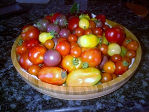 Heirloom cherry tomatoes; with some San Marzanos around the edges.